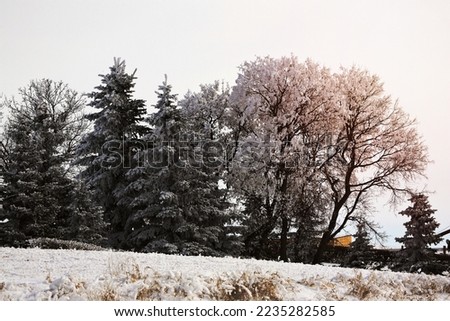 Image of a a frosty country day