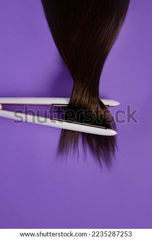 Straightener with a chestnut lock on a purple background, close-up. Hair Styling