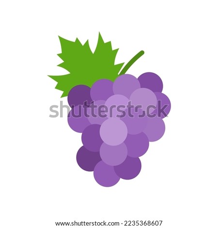 Grapes icon. Bunch of purple grapes with stem and leaf. Vector illustration isolated on white background. Royalty-Free Stock Photo #2235368607
