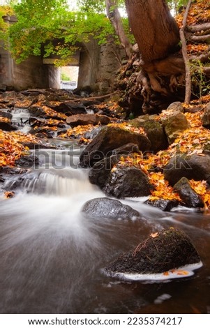 Flowing stream under a bridge taken in the Fall in Cornish, Maine in portrait.