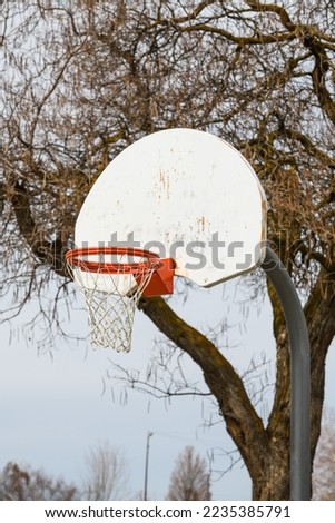 Orange basketball hoop with net outdoors with leafless tree and marked white backboard