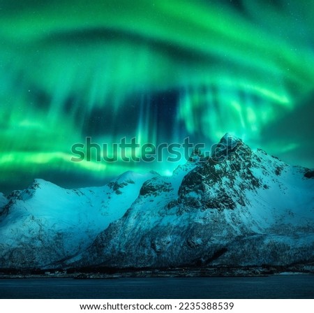 Aurora borealis over the snowy mountains, sea coast at night in Lofoten, Norway. Northern lights above snow covered rocks. Winter landscape with polar lights, fjord. Starry sky with bright aurora