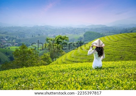 Asian woman wearing white traditional Vietnamese culture wearing conical hat in Vietnamese green tea plantation Royalty-Free Stock Photo #2235397817