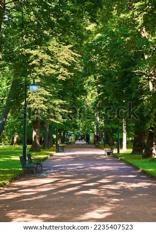Trees and park path at the public park. Green city park with trees. Royalty-Free Stock Photo #2235407523