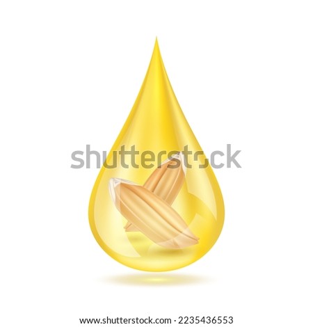 Paddy ear rice seed in oil dripping close up realistic. Vegetarian organic ingredient for cooking. Rice bran oil extract shiny golden yellow 3D isolated on white background. Vector EPS10. Royalty-Free Stock Photo #2235436553