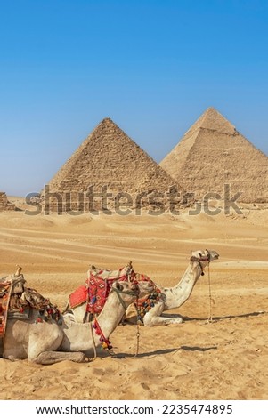The Pyramids of Giza in Egypt Royalty-Free Stock Photo #2235474895