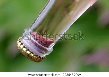 Sparkling wine production - yeast collected in the neck of the bottle after riddling Royalty-Free Stock Photo #2235487009