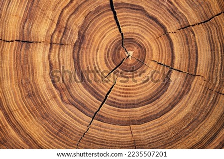 wood texture with annual rings, cracked surface of a felled stump background Royalty-Free Stock Photo #2235507201
