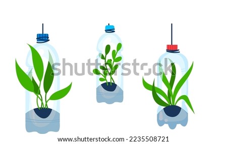 Flower in plastic bottle, vector illustration. Plant, grass decoration element in jar collection, vintage floral set. Reuse graphic design