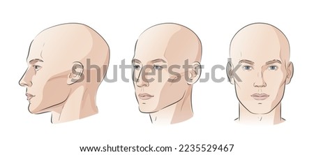 Man face portrait three different angles and turns of a male head. Bald hairless man. Close-up vector line sketch. Set of different view front, profile, three-quarter of a boy