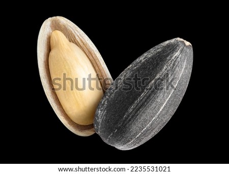 Close-up of delicious sunflower seed, isolated on black background