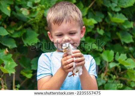 A child holds a chicken in his hands. A boy and a bird. Selective focus.