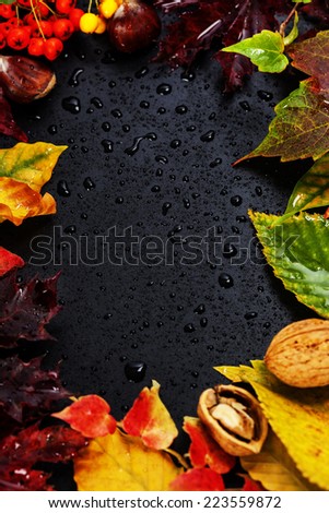 Fall leaves for an autumn composition with copy space
