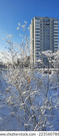 Multi-storey gray building and grass on the lawn in hoarfrost in winter.