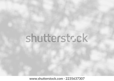 White blurred background with glitter for display, white bokeh, white background.