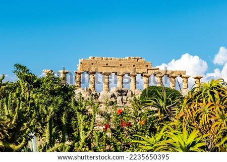 Pillars of the ruined Greek temple C, Selinunte, Sicily, Italy, Europe