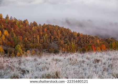 Wonderful autumn scenery with first frosts in the mountains . Dumesti,Transylvania,Romania. Royalty-Free Stock Photo #2235680121