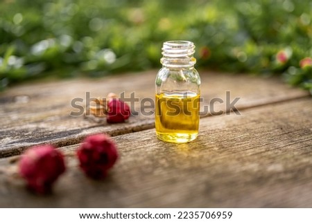 Essential oil in a small glass bottle with dried pink roses in bud on a wood table and blurred green background. Selective focus and copy space for text. Natural cosmetic products.