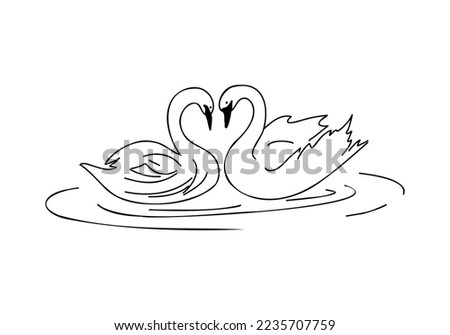 Swan linear doodle, hand drawing sketch isolated on white background. Love bird, romantic concept