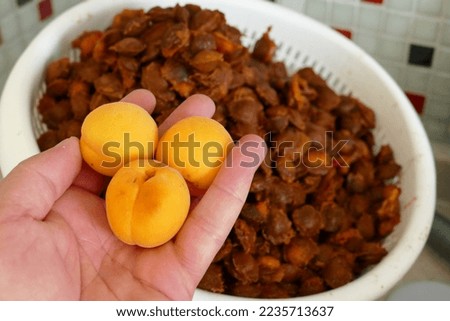 apricot kernels, apricot kernels in pharmaceutical production, a large amount of close-up apricot kernels, Royalty-Free Stock Photo #2235713637