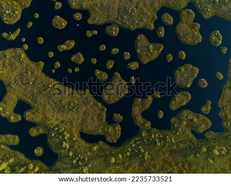 Swamp landscape, drone view. Yelnya Wild mire of Belarus. East European swamps and Peat Bogs. Ecological reserve in wildlife. Marshland with islands and pine trees. Swampy land, wetland, marsh, bog. Royalty-Free Stock Photo #2235733521