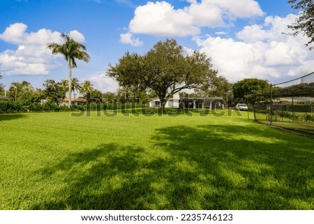 Beautiful and spacious park with short grass, big tree in the middle of the park, tropical plants, bushes, palms, blue sky