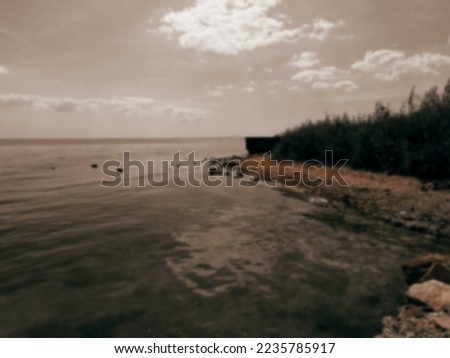 Blurry photo of the seashore with reeds in summer