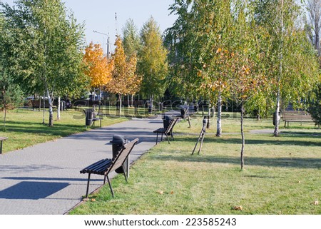 autumn leaves on trees in park