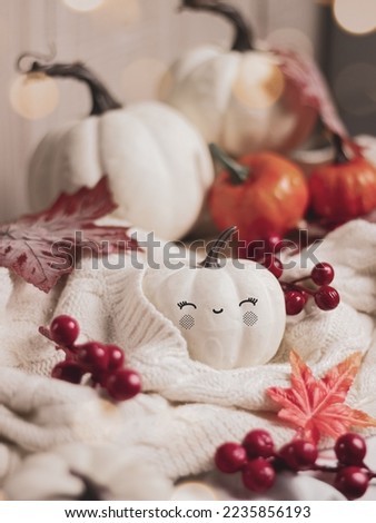 Cute aritificial pumpkin with sweater. seasonal concept