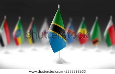 The national flag of the Tanzania on the background of flags of other countries