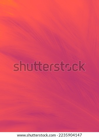 Beautiful abstract light pink feathers on white background,  white feather frame on pink texture pattern, pink background, love theme wallpaper and valentines day, white gradient