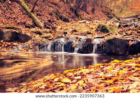 Dreamy creek running in the autumn forest in Óbánya, Hungary