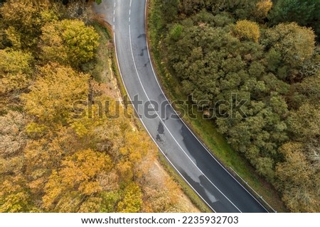 aerial view of a road and an oak forest in autumn Royalty-Free Stock Photo #2235932703