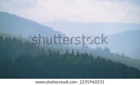 Mountains under mist in the morning Amazing nature scenery. Tourism and travel concept image, Fresh and relax type nature image