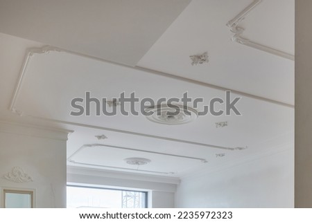 Detail of corner ceiling with intricate crown molding. 