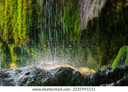 Water dripping from a rock surrounded by green moss walls. Beautiful tropical background at the waterfall. Moss texture with blurred background. Weeping rocks. Beauty and energy.