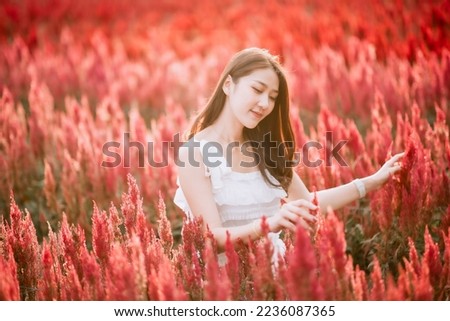 Portrait of a young Asian woman in a white dress in a field of flowers. evening sun light.