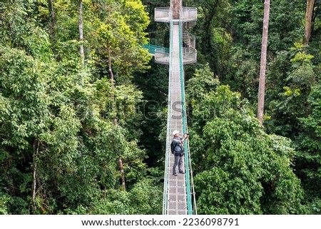 High angle view of man taking photo at suspension bridge in tree top canopy walkway in Danum rain forest Lahad datu