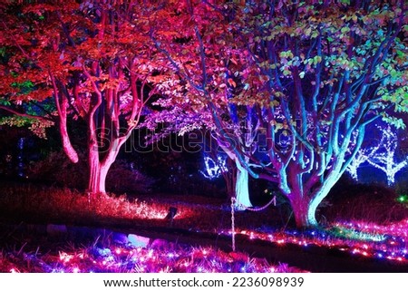 Lewis Ginter Botanical Gardens, Garden Fest of Lights, Light Displays.