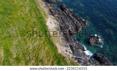 Dense thickets of grass on the shore. Grass-covered rocks on the Atlantic Ocean coast. Nature of Ireland, top view. Aerial photo.