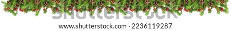 Christmas decorative wide border. Fir branches with red berries and pine cones isolated on a white background.