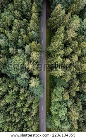 street in the middle of a forest from above, street from above, street through forest, drone view, view from above