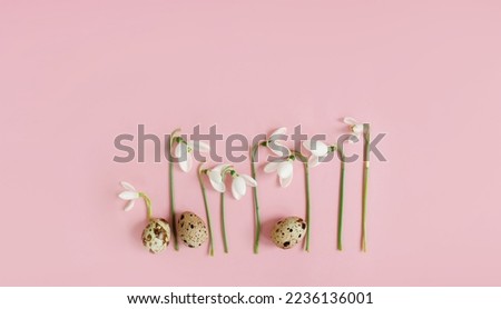 
delicate layout with snowdrops and quail eggs on a light pink pastel background. easter spring concept. top view. copy space. flat lay