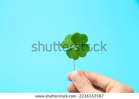 Woman holding beautiful green four leaf clover on light blue background, closeup