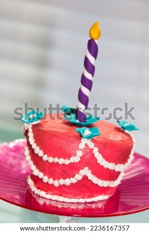 Alice in Wonderland themed smash cake for first birthday