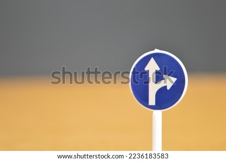 Two side arrow road sign with blurred background.