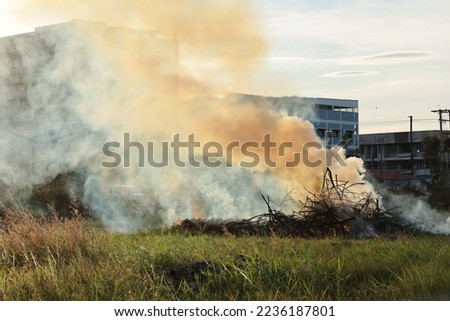 Smoke from burning wood piles. Big pile of burning branches and leaves with white smoke in outdoor garden with copy space. Selective soft focus