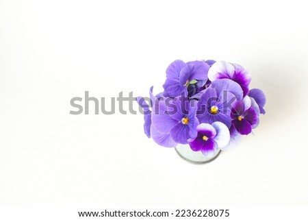 A bouquet of blue-purple violets on a white background