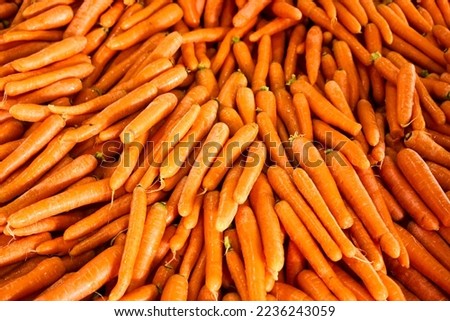 Many carrots placed raw in a container, overhead photo. High quality photo