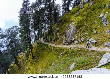 Triund Hill, Indrahar Pass Trail, Dauladhar Range, Himachal Pradesh, India Royalty-Free Stock Photo #2236259163